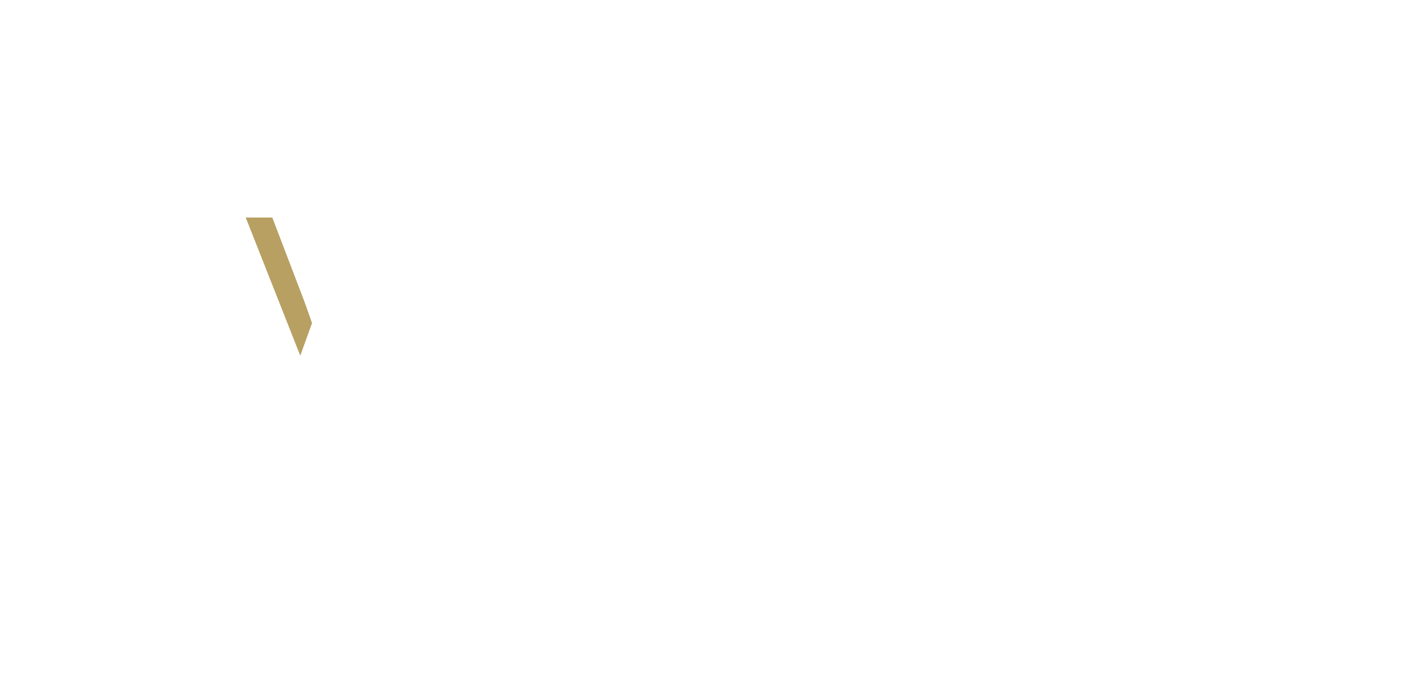Wyverly business consultants